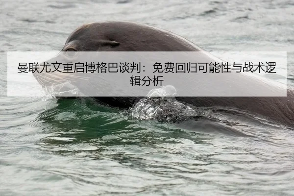 曼联尤文重启博格巴谈判：免费回归可能性与战术逻辑分析